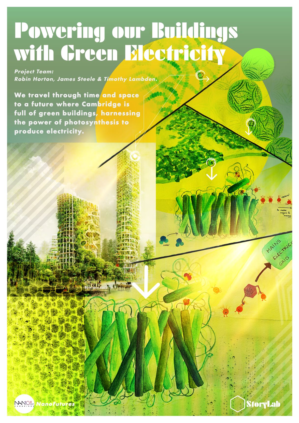 nano_algae